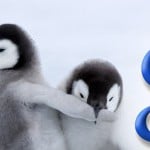 ¿Cómo afecta Google Penguin al SEO?