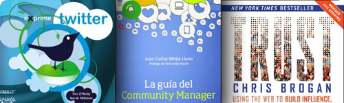 Lectura de verano 2013: libros sobre community manager